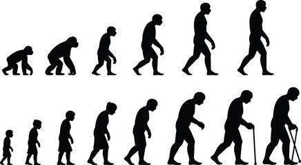 Evolution of man from ape to modern human and aging process, black and white silhouette illustration, human development timeline concept