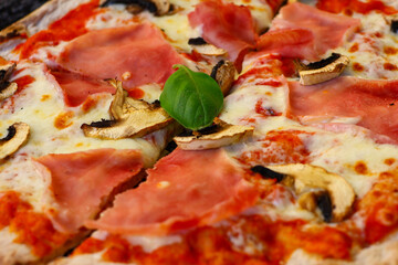 Scenes of Tuscany 2025