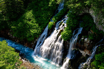 Obraz premium 北海道白髭の滝