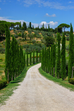 Scenes of Tuscany 2025