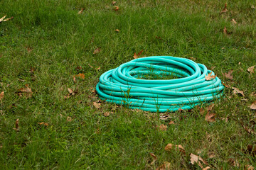 A turquoise garden hose is coiled neatly on the lush green grass, with a few dry leaves resting on...
