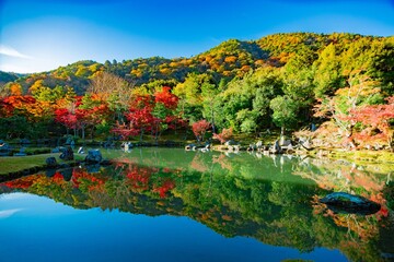 【紅葉】京都 天龍寺 曹源池庭園
Kyoto, Tenryuji Temple