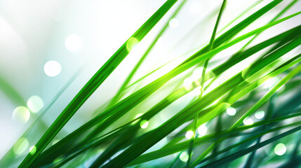 Overlapping translucent green rays with soft bokeh highlights on white background representing ecological data and modern technology themes