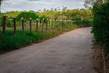 A peaceful, curving dirt road in the serene Brazilian countryside, lined with a rustic fence under...
