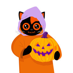 A cute Halloween illustration of a black and orange cat in a purple hood and orange robe, holding a carved pumpkin with a wide grin on a white background.