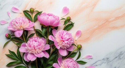 Elegant floral composition featuring pink peonies and green leaves on marble surface, perfect for