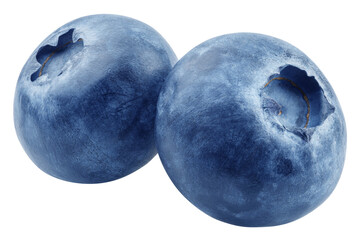 Blueberry isolated on white background, full depth of field