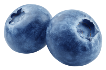 Blueberry isolated on white background, full depth of field