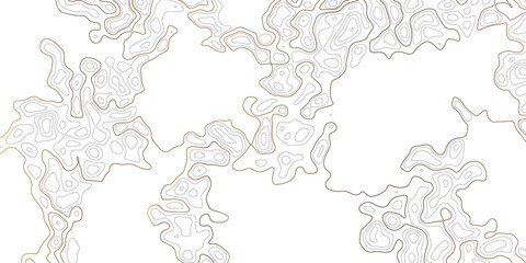 Topographic contour map. Vector cartography illustration. Design illustration for wall art, fabric, packaging, web, banner, wallpaper.