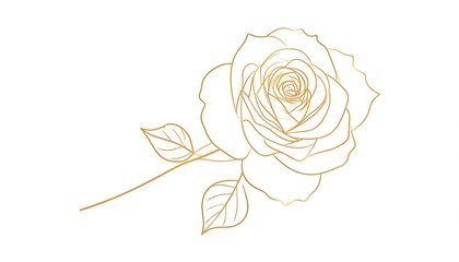 Elegant gold-lined rose design with delicate leaves on a white background.