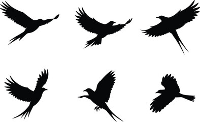 Silhouettes of Flying Birds, Elegant Winged Creatures in Motion, Perfect for Nature, Wildlife, and Freedom Symbol Themes