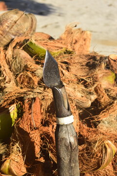Descascador de coco seco, amontoado de cascas marrom ao lado de ferramenta para descascar cocos