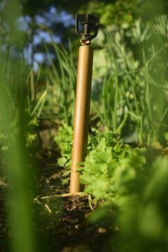 Irrigador de hortali&ccedil;as em planta&ccedil;&atilde;o de coentro, cheiro-verde e cebolinha, sistema de rega autom&aacute;tica em planta&ccedil;&atilde;o