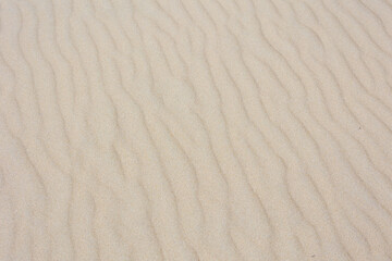 Selective focus of very fine sand beach in the summer under the sun, Beautiful structure curve on the sand texture, Nature ripple pattern, Abstract background.