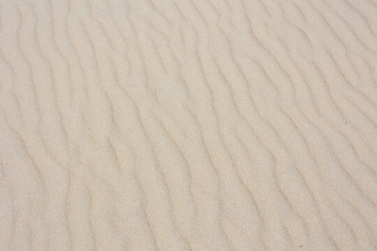 Selective focus of very fine sand beach in the summer under the sun, Beautiful structure curve on the sand texture, Nature ripple pattern, Abstract background.
