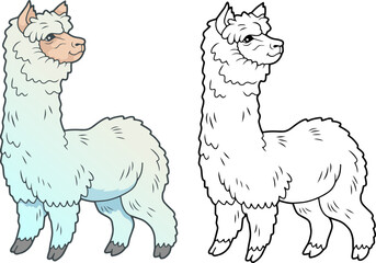 alpaca coloring book for children