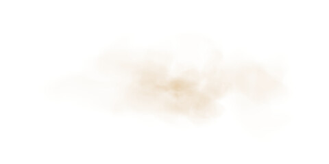 Fototapeta premium Light Gold Smoke. Transparent Cloud Effect with Soft Mist and Vapor Texture