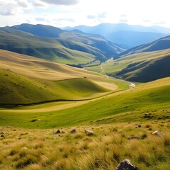 Fototapeta premium Rolling meadow valley