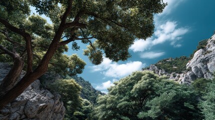 Lush greenery embraces a rocky mountainside under a vibrant blue sky dotted with fluffy clouds.
