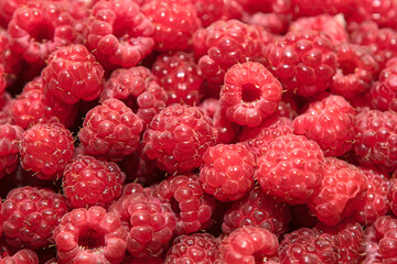 Dense cluster of fresh raspberries fills the frame, their vibrant red and textured drupelets creating rich visual pattern. Tiny hairs and hollow centers highlight fruit natural detail and ripeness