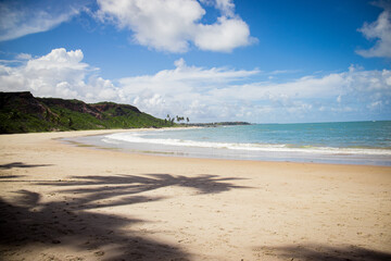 Idyllic tropical beach paradise with a palm tree shadow on golden sand, turquoise ocean, and blue sky in Coqueirinho, Paraíba, Brazil.