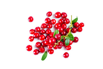 Ripe shiny lingonberries with leaves isolated on white background.