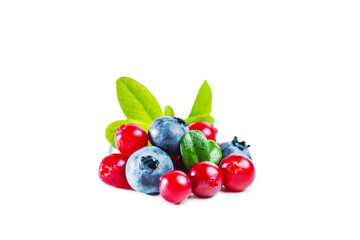 Ripe shiny lingonberries and blueberries with leaves isolated on white background.