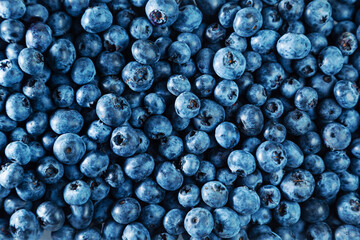 Fresh juicy blueberries close-up. Natural food background.