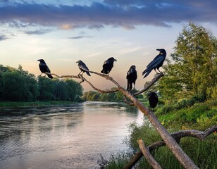 Dark crows rest on a tree limb above a shimmering river, surrounded by the warmth of summer. Generated with AI