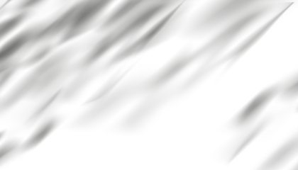 Soft shadow leaf, natural light effect on white background.Abstract pattern of plant tree branches shade design,Isolated grey leaves,Minimalist shadows overlay effect foliage mockup