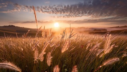 Fototapeta premium prairie morning awakening gentle radiance whispering grass and eternal splendor of nature daily renewal