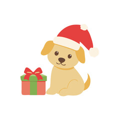 teddy bear with gift box