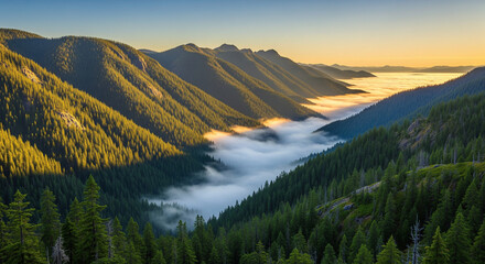 Majestic mountain landscape at sunrise, with a thick layer of fog filling a deep, forested valley. The golden light of the morning sun illuminates the lush green slopes, creating a dramatic and serene