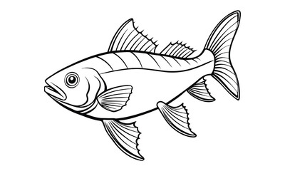 Fototapeta premium Haddock fish Kids vector line art and silhouette t shirt design, elegant detailed illustration, perfect for printable coloring pages, art therapy relaxation and stress relief activities.