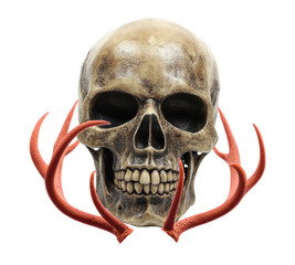 skull and crossbones
