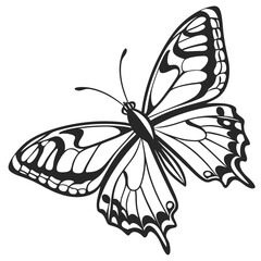Black and White Butterfly Silhouette Isolated on White Background monarch butterfly insect