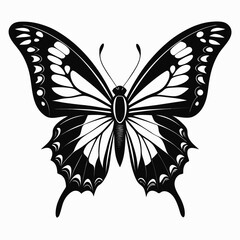 Black and white butterfly silhouette with ornate wing patterns on white insect monochrome