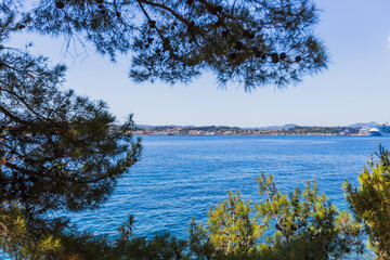 Scenic view of Corfu town across turquoise Mediterranean waters framed by coastal pine tree branches with historic buildings and mountains.