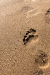 Detailed single human footprint deeply impressed in wet golden beach sand showing clear toe and heel marks with natural lighting and texture.