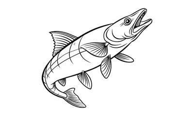 Fototapeta premium Pike fish Kids vector line art and silhouette t shirt design, elegant detailed illustration, perfect for printable coloring pages, art therapy relaxation and stress relief activities.