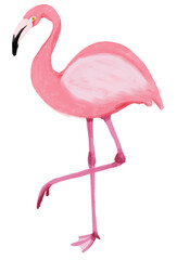 pink flamingo 