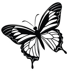 Black and White Stylized Butterfly Silhouette with Detailed Wings on White Background insect animal