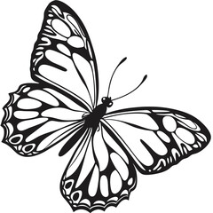 Black and White Stylized Butterfly Silhouette on White Background insect wing
