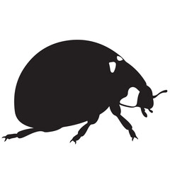 Graphic Black Ladybug Insect Silhouette Against White Background