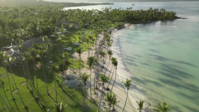 Aerial 4K view of Playa Aserradero &mdash; tropical beach with palms, greenery, and calm Caribbean waters. Perfect for eco-touris. Filmed 27 August 2025, Las Galeras, Dominican Republic