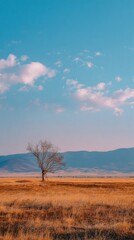 Obraz premium Wide Open Prairie Landscape With One Tree, Dry Grass, and Soft Mountain Horizon