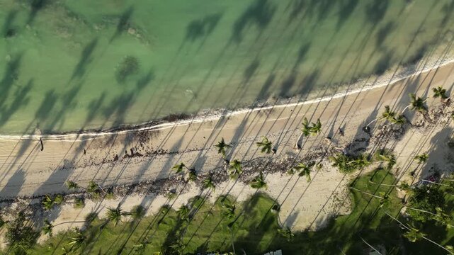 4K drone footage of Playa Aserradero, Las Galeras &mdash; sandy beach, turquoise waters, and lush palms in soft afternoon light