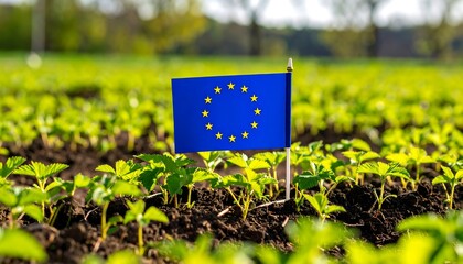 A small European Union flag stands amidst a vibrant field of young strawberry plants, highlighting agricultural growth and European identity.
