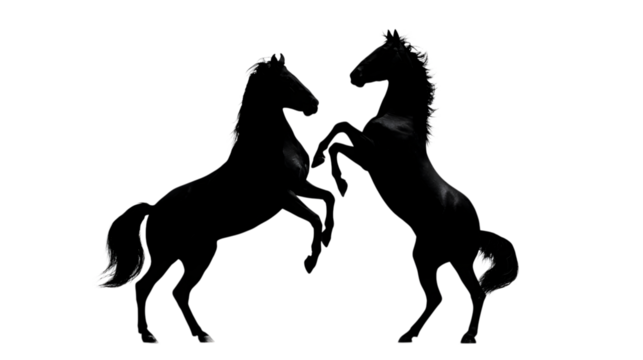 Dark Horse Silhouettes A Striking Depiction of Equine Forms in Shadow Against a Transparent Backdrop Art