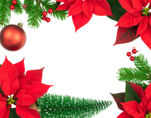 Christmas decoration. Frame of flowers of red poinsettia, branch christmas tree, bal